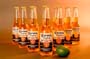 Beer Bottles